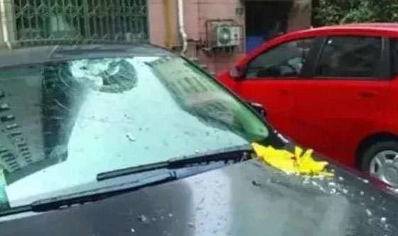 常德市康都物業(yè)服務(wù)有限公司,常德保安服務(wù)公司,保潔服務(wù),綠化服務(wù),搬運服務(wù),墻外高空清洗服務(wù) 常德市康都物業(yè)服務(wù)有限公司,常德保安服務(wù)公司,保潔服務(wù),綠化服務(wù),搬運服務(wù),墻外高空清洗服務(wù)