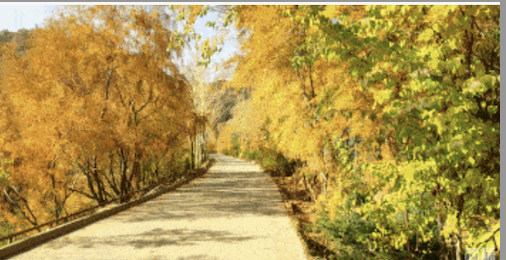 常德市康都物業(yè)服務有限公司,常德保安服務公司,保潔服務,墻外高空清洗服務